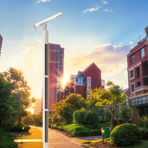 Solar Panel With Intelligent Street Light Pole