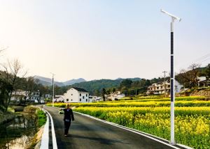 10m White Stainless Steel Street Lighting Pole with Solar Panel